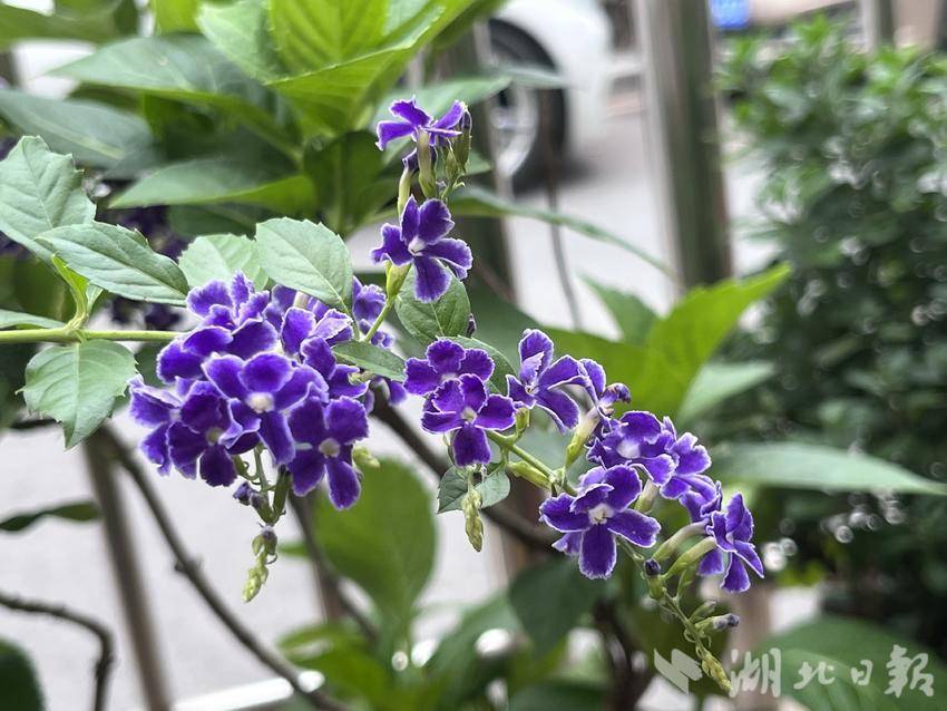 新莆京娱乐场官网地址